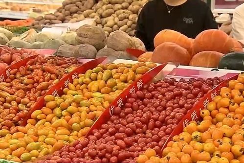 2025年山东省农产品质量安全检测技能竞赛在济南成功举办