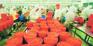 食责险嵌入农产品电商风潮渐起 质量安全问题犹存