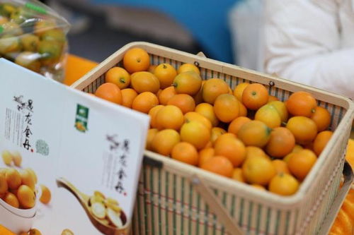 第22届广西名特优农产品（桂林）交易会圆满落幕，各大奖项名花有主