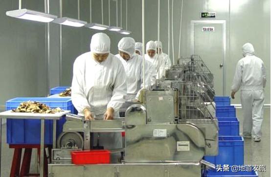 古田现代农业产业园 解码“县域工厂”模式，看农产品如何“链”出强动能