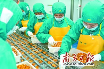 广东全面推进农产品食品化工程 谱写双循环新篇章