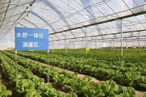 互联网赋能农产品出村进城，农业融资新模式引领乡村振兴