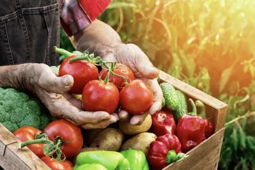 农产品如何增值7倍？一招收效 科技赋能，跨界打造日用品